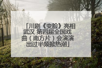 川剧《变脸》亮相武汉 第四届全国戏曲（南方片）会演演出过半频掀热潮