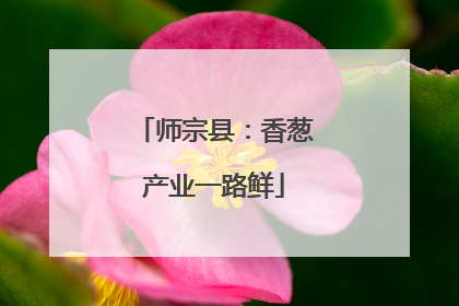 师宗县：香葱产业一路鲜