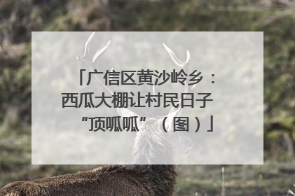 广信区黄沙岭乡：西瓜大棚让村民日子“顶呱呱”（图）