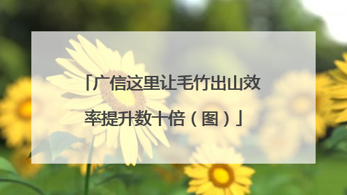 广信这里让毛竹出山效率提升数十倍（图）
