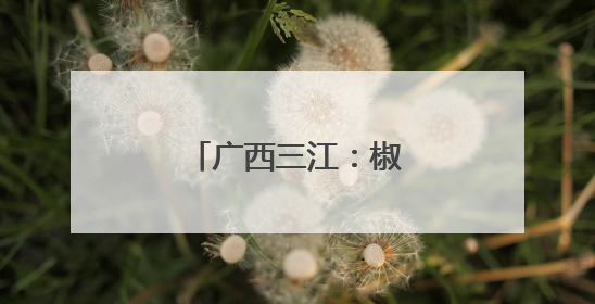 广西三江：椒香满园促增收