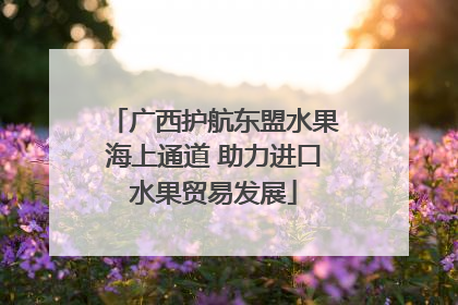 广西护航东盟水果海上通道 助力进口水果贸易发展