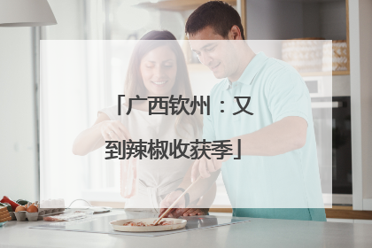 广西钦州：又到辣椒收获季