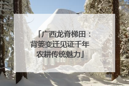 广西龙脊梯田：背篓变迁见证千年农耕传统魅力