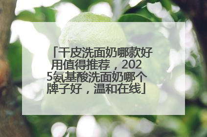 干皮洗面奶哪款好用值得推荐，2025氨基酸洗面奶哪个牌子好，温和在线