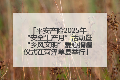 平安产险2025年“安全生产月”活动暨“乡风文明”爱心捐赠仪式在菏泽单县举行