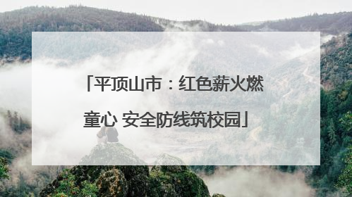平顶山市：红色薪火燃童心 安全防线筑校园