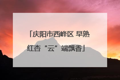庆阳市西峰区 早熟红杏“云”端飘香