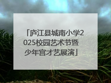 庐江县城南小学2025校园艺术节暨少年宫才艺展演