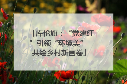 库伦旗：“党建红”引领“环境美” 共绘乡村新画卷