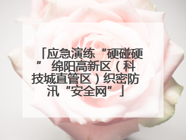 应急演练“硬碰硬” 绵阳高新区（科技城直管区）织密防汛“安全网”
