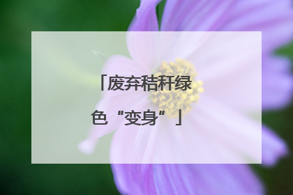 废弃秸秆绿色“变身”