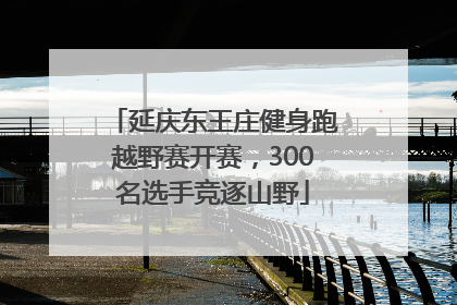 延庆东王庄健身跑越野赛开赛，300名选手竞逐山野