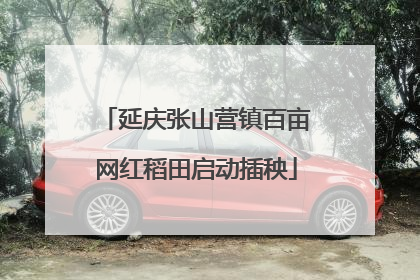 延庆张山营镇百亩网红稻田启动插秧