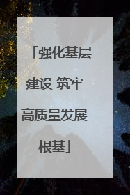 强化基层建设 筑牢高质量发展根基