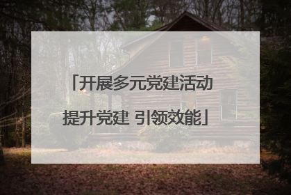 开展多元党建活动 提升党建 引领效能