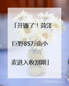 开镰了！菏泽巨野85万亩小麦进入收割期