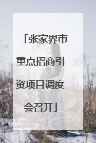 张家界市重点招商引资项目调度会召开