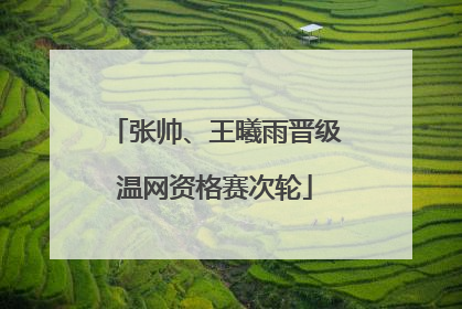 张帅、王曦雨晋级温网资格赛次轮