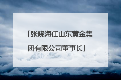 张晓海任山东黄金集团有限公司董事长