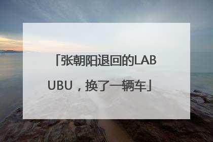 张朝阳退回的LABUBU，换了一辆车