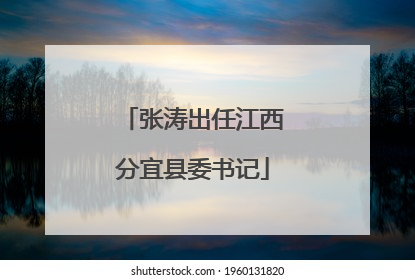 张涛出任江西分宜县委书记
