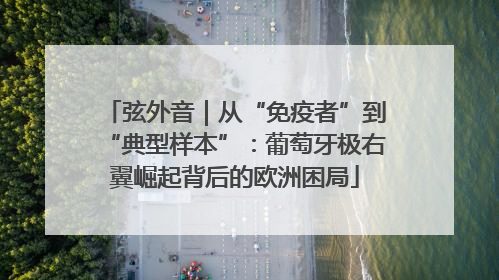 弦外音｜从“免疫者”到“典型样本”：葡萄牙极右翼崛起背后的欧洲困局
