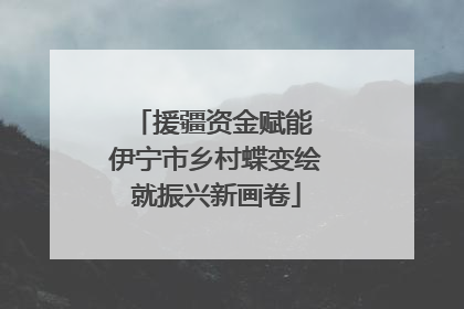援疆资金赋能 伊宁市乡村蝶变绘就振兴新画卷