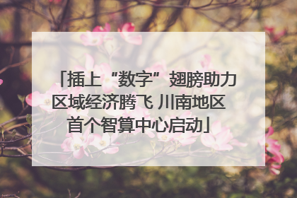 插上“数字”翅膀助力区域经济腾飞 川南地区首个智算中心启动