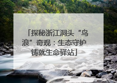 探秘浙江洞头“鸟浪”奇观：生态守护铸就生命驿站