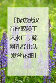 探访武汉首座双膜工艺水厂，筛网孔径比头发丝还细