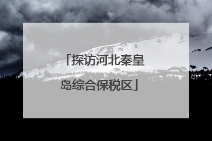 探访河北秦皇岛综合保税区