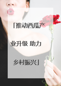 推动西瓜产业升级 助力乡村振兴