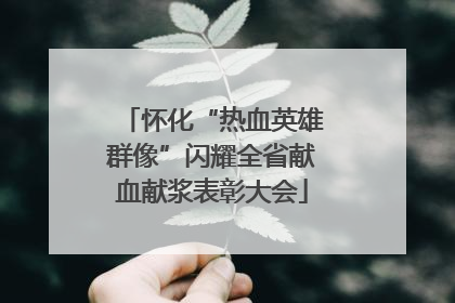 怀化“热血英雄群像”闪耀全省献血献浆表彰大会