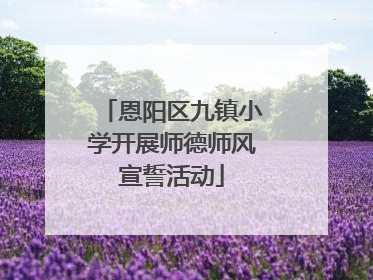 恩阳区九镇小学开展师德师风宣誓活动