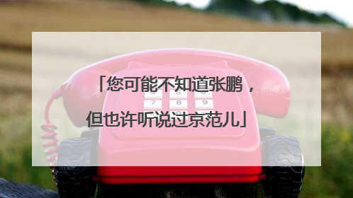您可能不知道张鹏，但也许听说过京范儿