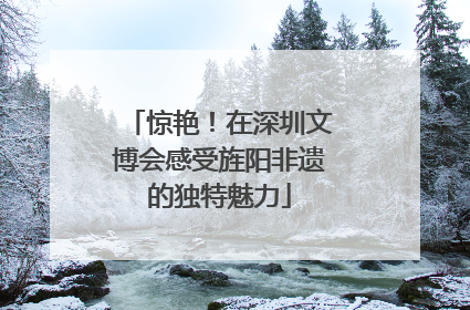惊艳！在深圳文博会感受旌阳非遗的独特魅力
