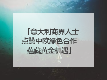 意大利商界人士点赞中欧绿色合作蕴藏黄金机遇