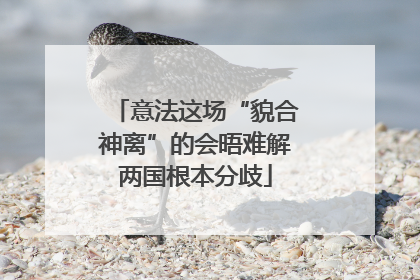 意法这场“貌合神离”的会晤难解两国根本分歧