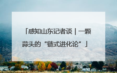 感知山东记者谈｜一颗蒜头的“链式进化论”