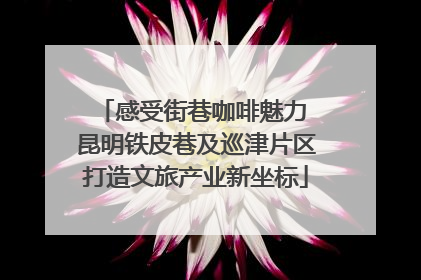 感受街巷咖啡魅力 昆明铁皮巷及巡津片区打造文旅产业新坐标