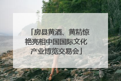 房县黄酒、黄精惊艳亮相中国国际文化产业博览交易会