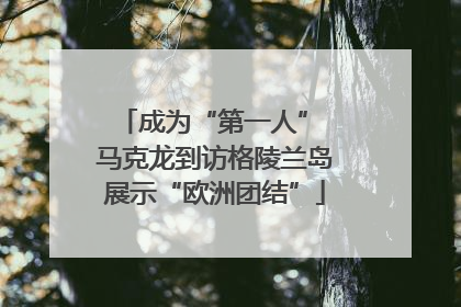 成为“第一人” 马克龙到访格陵兰岛展示“欧洲团结”