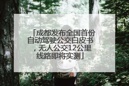 成都发布全国首份自动驾驶公交白皮书，无人公交12公里线路即将实测