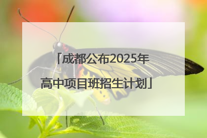 成都公布2025年高中项目班招生计划