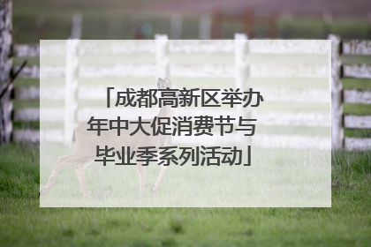 成都高新区举办年中大促消费节与毕业季系列活动