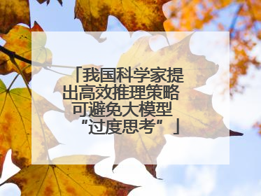 我国科学家提出高效推理策略 可避免大模型“过度思考”