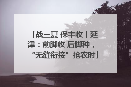 战三夏 保丰收丨延津：前脚收 后脚种，“无缝衔接”抢农时