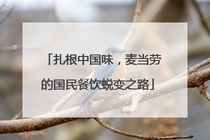 扎根中国味，麦当劳的国民餐饮蜕变之路