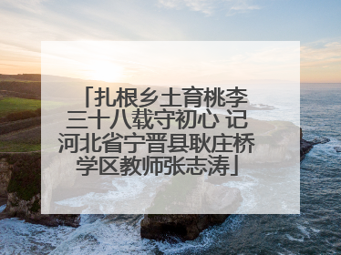 扎根乡土育桃李 三十八载守初心 记河北省宁晋县耿庄桥学区教师张志涛